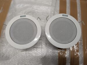 PXL_20250310_180413470